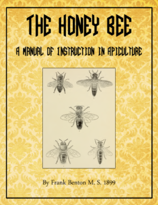 The Honey Bee