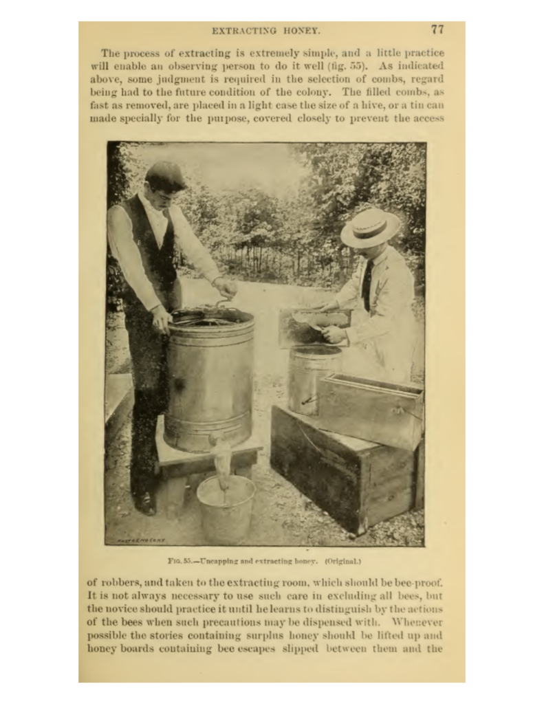 the-honey-bee-cooper-family-printing