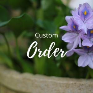 Custom order