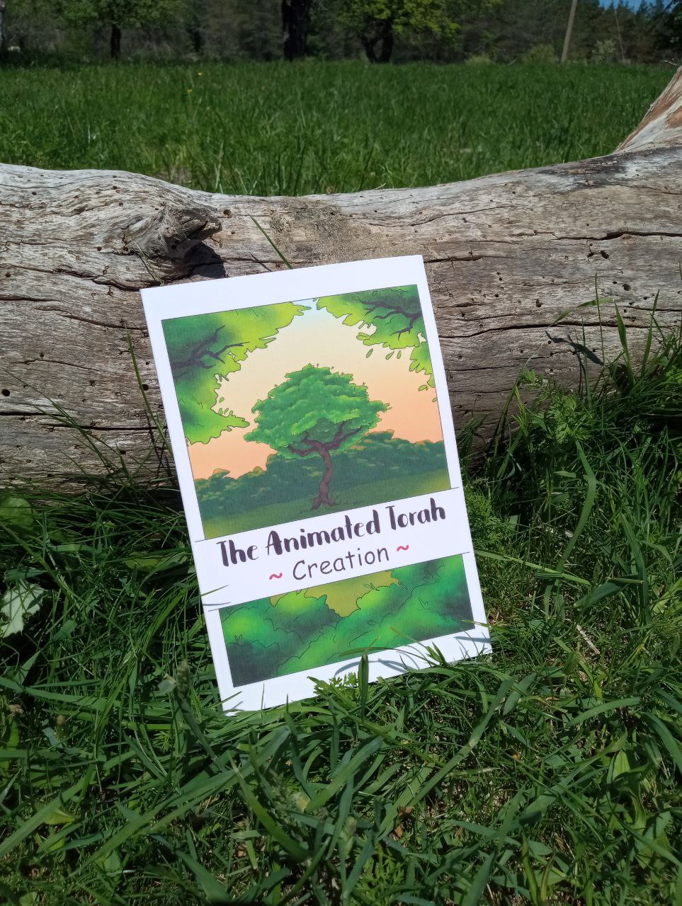 The Animated Torah: Creation